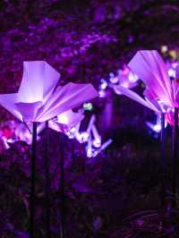 【東京都/虎ノ門/汐留】冬こそ行きたい、アートな虎ノ門夜散歩