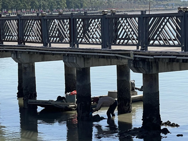 汕尾兩日遊：淺享海濱風光，尋找小城浪漫》