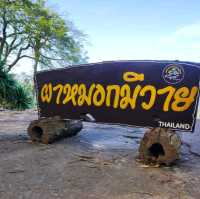 หนาวนี้ที่ผาหมอกมิวาย
