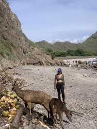 ย้อนเวลาไปเที่ยวอินโดเดือนธันวา : Padar Island