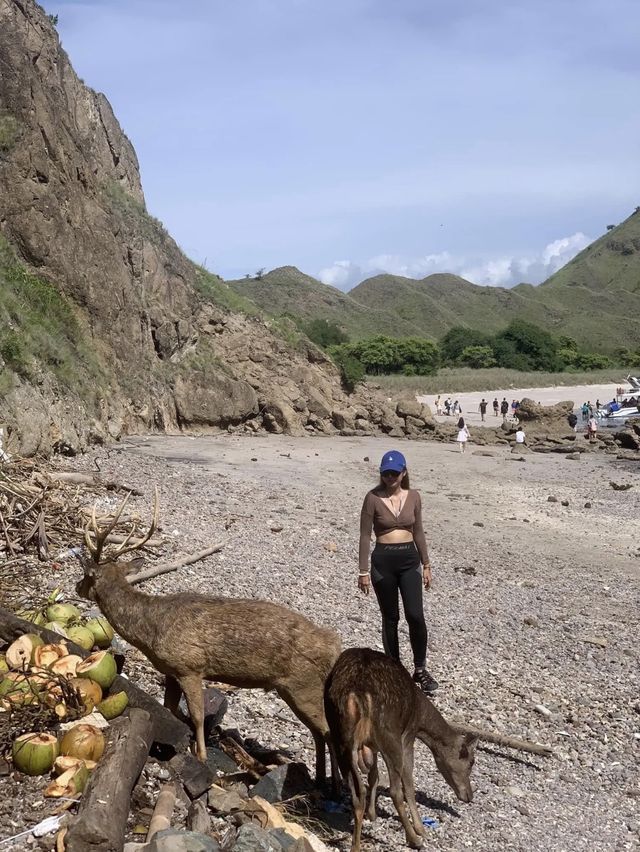 ย้อนเวลาไปเที่ยวอินโดเดือนธันวา : Padar Island