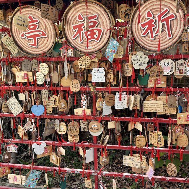 嘉義《檜意森活村》 日式檜木建築