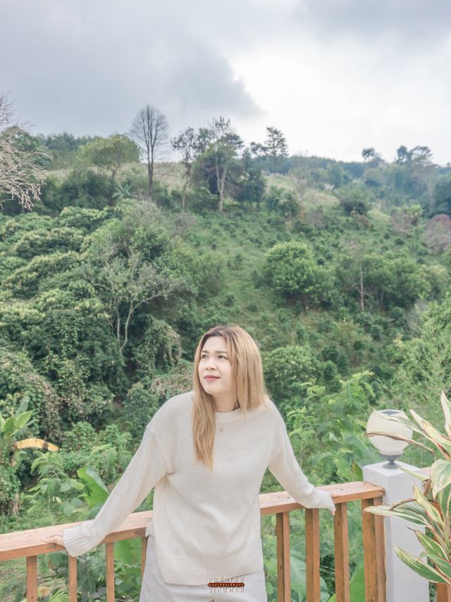 คาเฟ่มูจิบนดอยวาวีเชียงราย