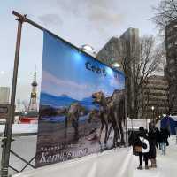 札幌　札幌観光　2023さっぽろ雪まつり　さっぽろテレビ塔とのコラボが素晴らしい
