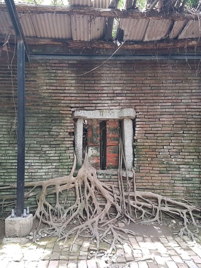 💕 Anping Tree House