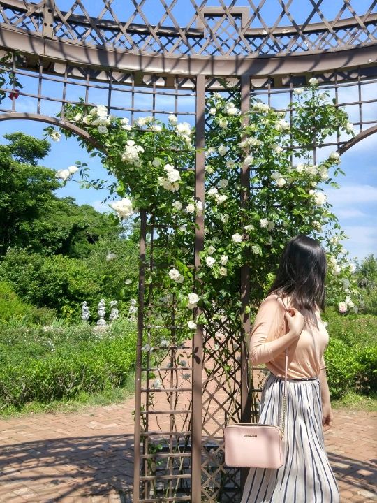 제주 풍경 가득 '에코랜드'