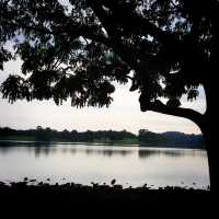 Lower Peirce in Cloudy Conditions…