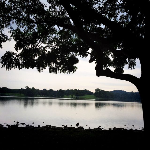 Lower Peirce in Cloudy Conditions…