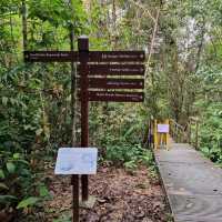 Hiking at Macritchie Nature Trail