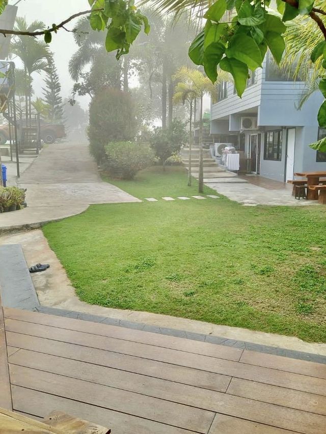 Sun Smile's house 🌳☀️ Sun Smile's house 🌳☀️