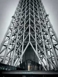 Skytree- building that enters the cloud 