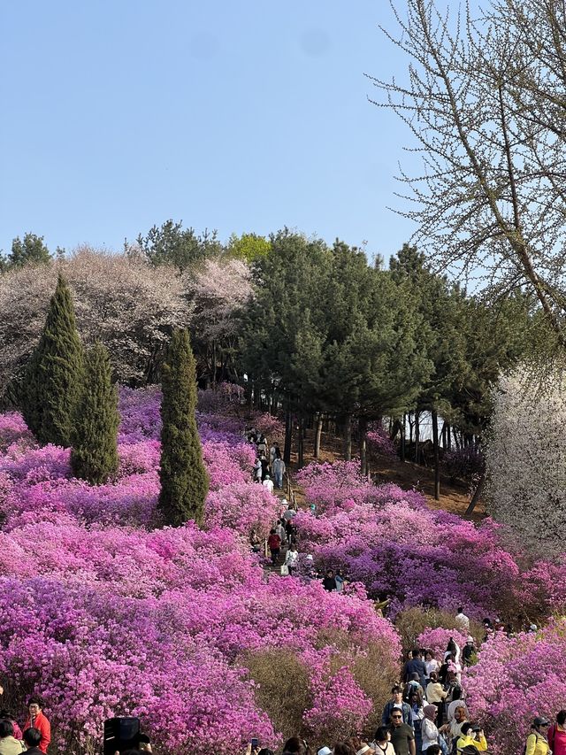 말그대로 꽃동산 그 자체💕