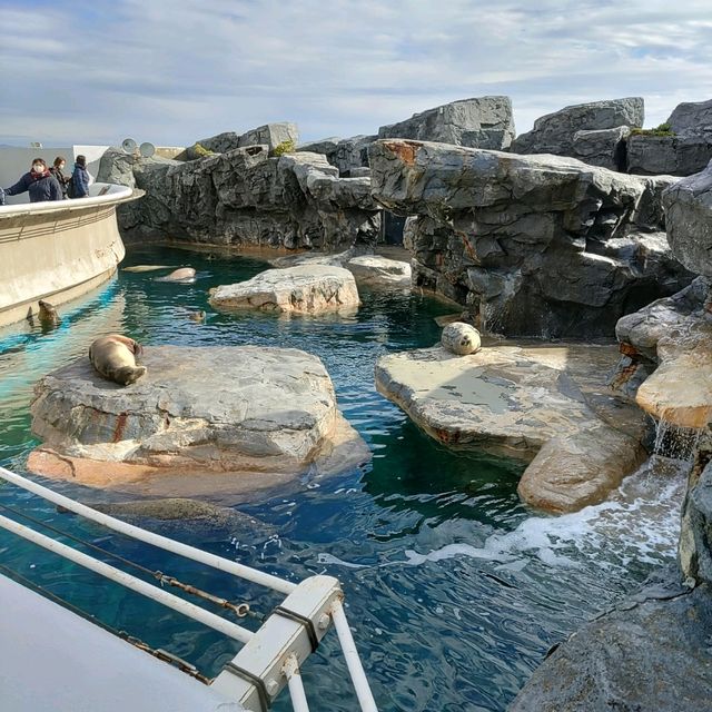 鴨川シーワールドは最強に可愛い生物がいっぱい