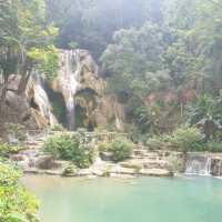 라오스 인생 여행지! 꽝시폭포 Kuangsi Waterfall