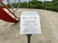 恋人の聖地 粟島公園