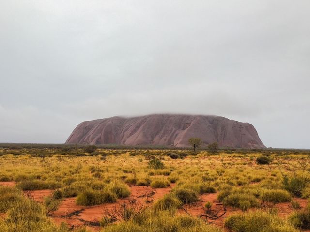 澳洲🇦🇺<在世界中心呼喚愛>之巨石