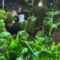 Jakarta Aquarium