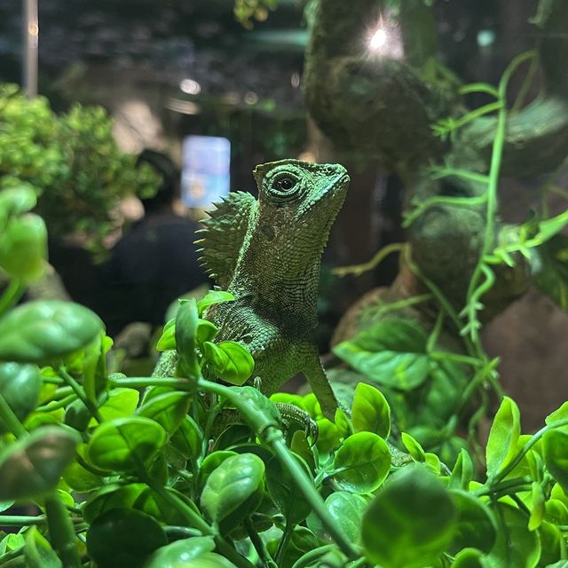 Jakarta Aquarium