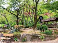 สวนสาธารณะกิฟุ (Gifu Park)🌳🌿