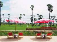 The Aileen Cafe | คาเฟ่ต้นตาลฟีล On the Beach🌴