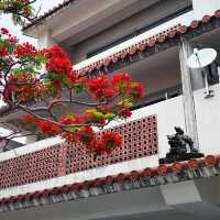 ［沖縄文化遊］那霸市區壺屋焼及茶屋在「壺屋やちむん通り」