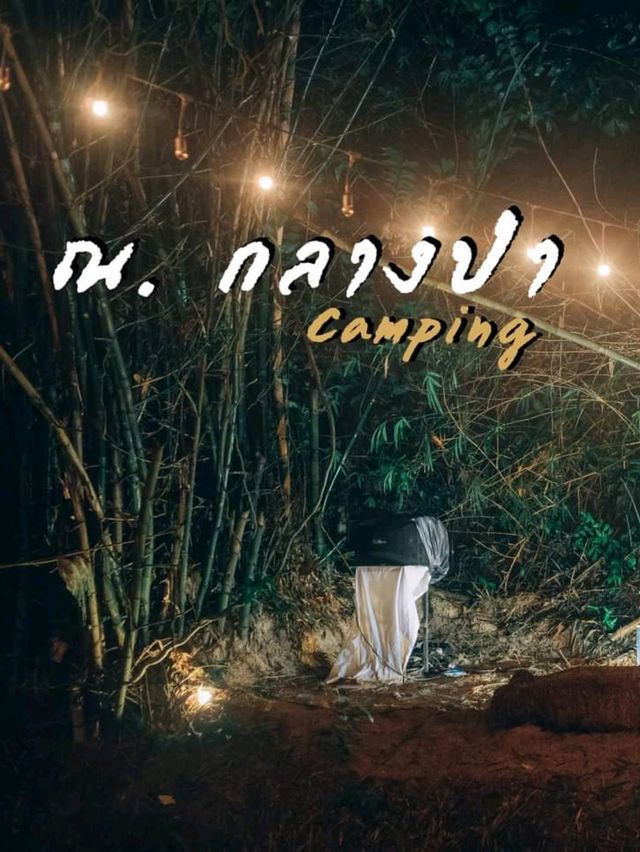 กลางป่าคาเฟ่ the forest hub