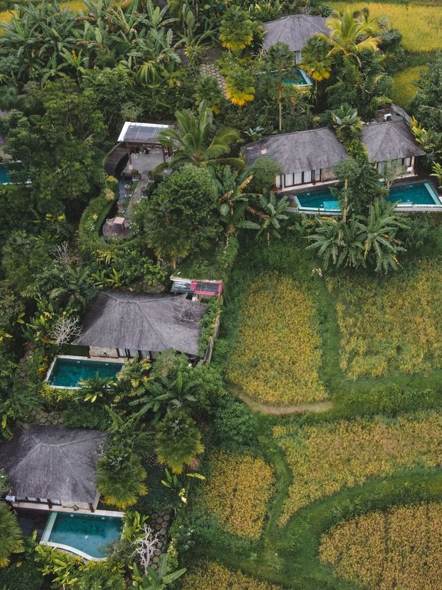 Luxury Villa in the Middle of Ubud  