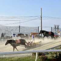 暢享北海道「帶廣競馬場」的樂趣盛典！