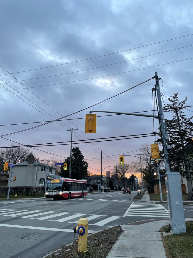 🇨🇦폭설과 스노우스톰이 자주오는 대도시 “토론토Toronto”⛄️