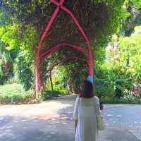 [Explore Singapore] Gardens of Your Dreams