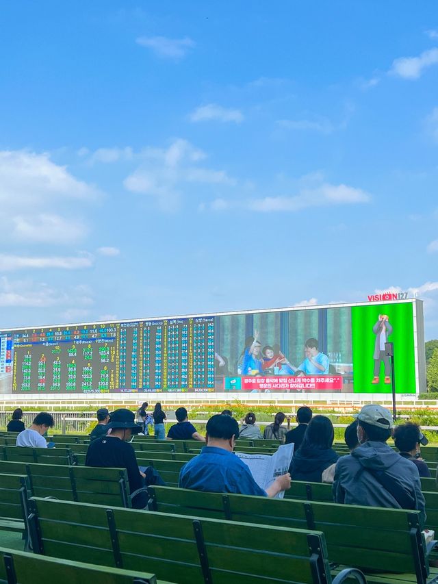 이색적인 경험을 즐기고 싶다면 렛츠런파크🏇