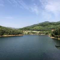 서울 근교 드라이브 코스: 오랑주리 식물원 카페, 마장호수 출렁다리