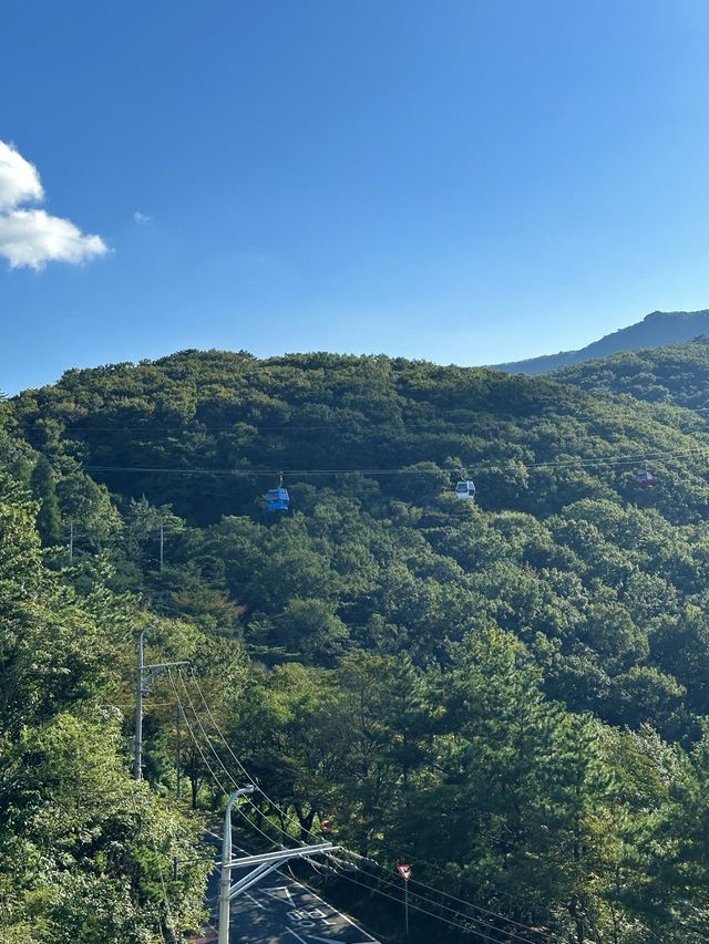귀여운 벨리곰과 같이 케이블카를 탈 수 있는 곳🧸