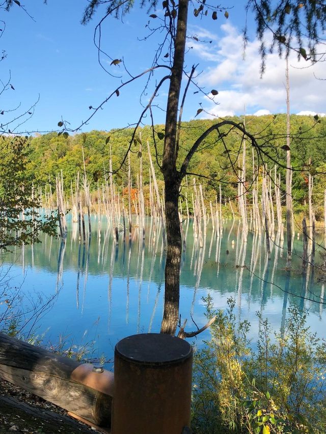 【北海道観光】1度は見てみたい神秘的な青🩵