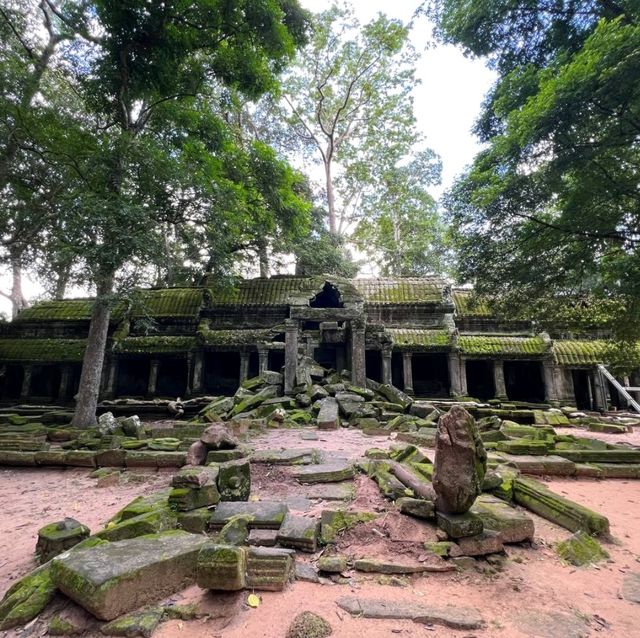 Ta Prohm: Jungle temple enveloped by nature