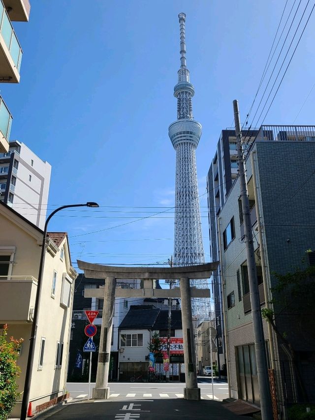 墨田区のパワースポット 牛嶋神社