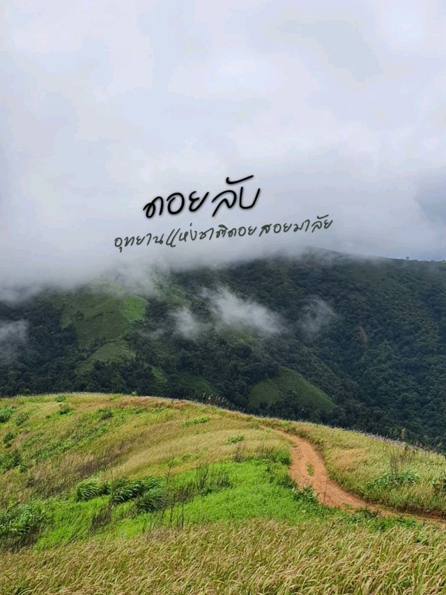 พาเดินเทรล"ดอยลับ" อุทยานแห่งชาติดอยสอยมาลัย