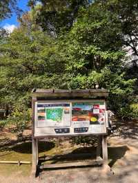 東京【駒込】六義園