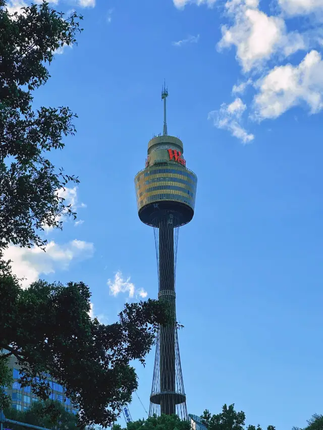 [雪梨] 一覽360度雪梨景致 超浪漫高空旋轉餐廳-雪梨塔