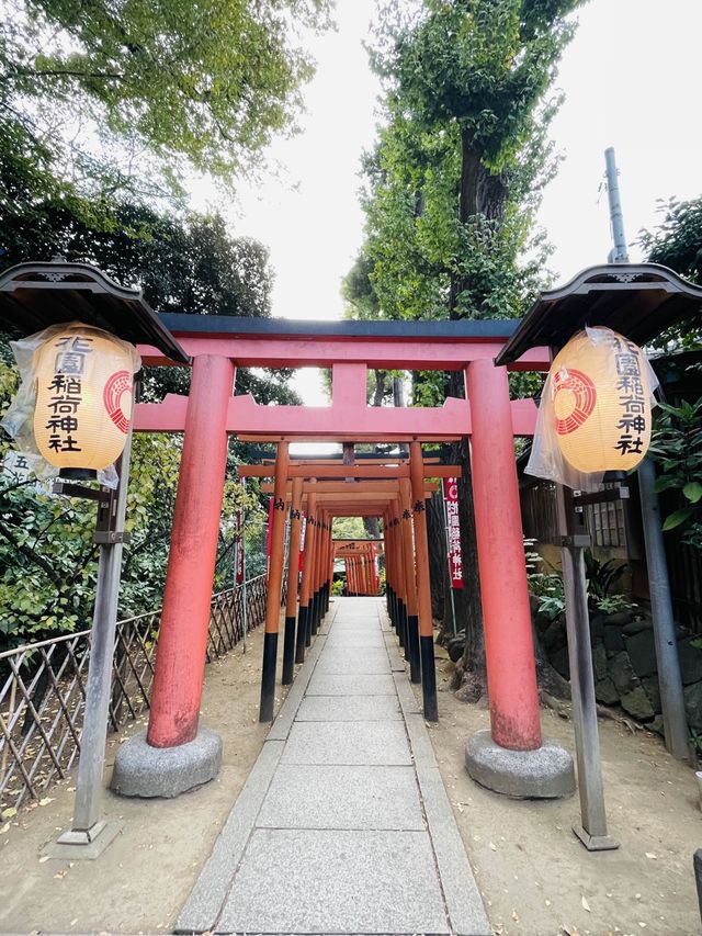 【東京都/花園稲荷神社】隠れスポット/旧跡・忍岡稲荷