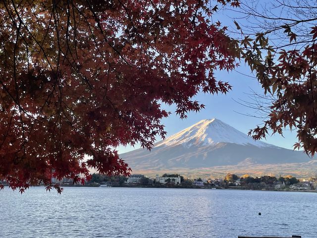 Charming Lake Kawaguchi during falls