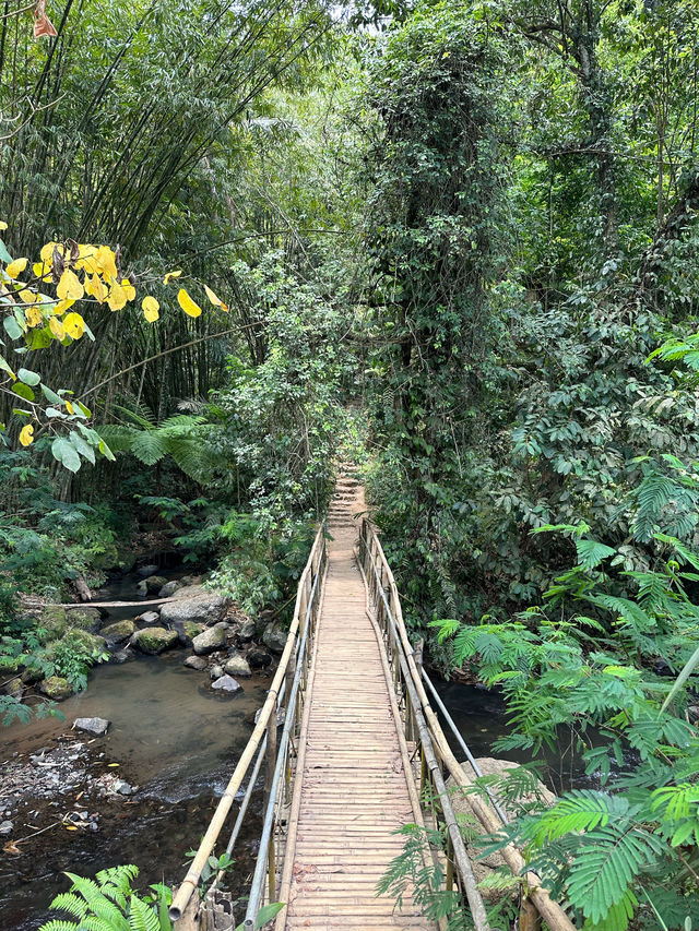 LEKE LEKE WATERFALL - Bali 