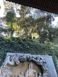 【神奈川県/江島神社】海を眺めて初詣