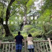 【屋久島】縄文杉トレッキングツアー