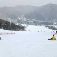 지산리조트. 서울근교.스키장