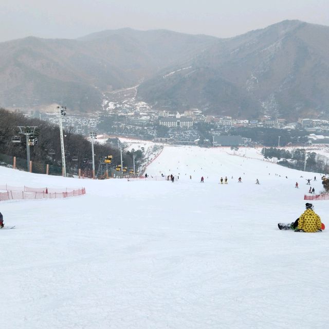지산리조트. 서울근교.스키장