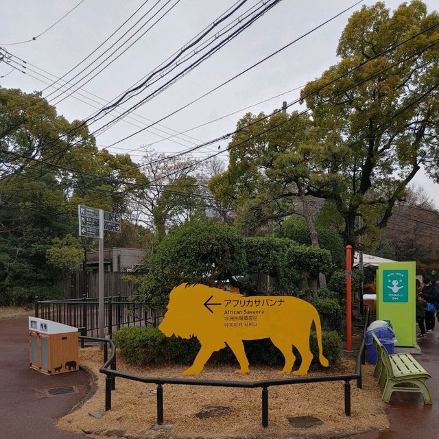 自動販売機にゾウの銅像！岩場にお正月飾り！