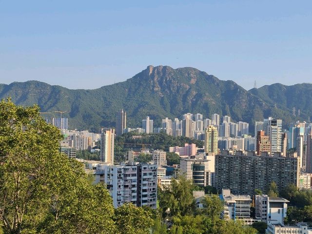 【市區快閃登頂~紅燈山🚨】