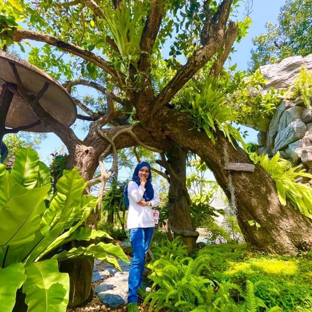 The Tall  Trees  คาเฟ เกาใจ