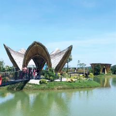 Thailand張用戶圖片